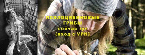 индика Нижний Тагил
