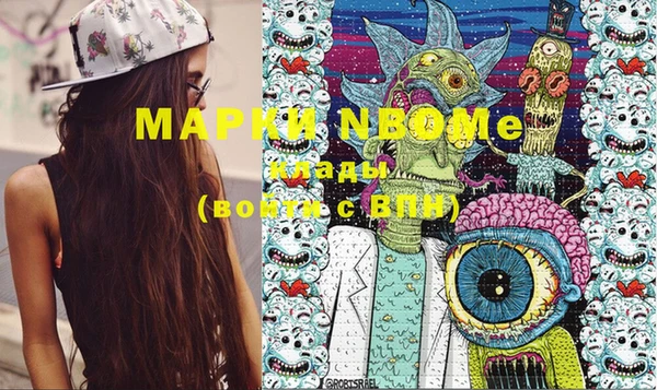 индика Нижний Тагил