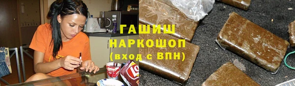 индика Нижний Тагил